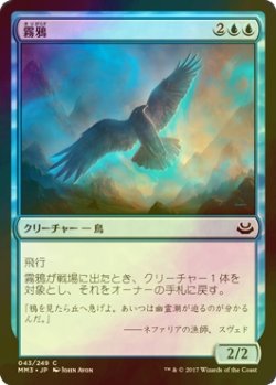 画像1: [FOIL] 霧鴉/Mist Raven 【日本語版】 [MM3-青C]