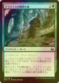 [FOIL] アラクナスの蜘蛛の巣/Arachnus Web 【日本語版】 [MM3-緑C]