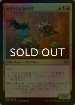 画像1: [FOIL] セドラクシスの死霊/Sedraxis Specter 【日本語版】 [MM3-金U]