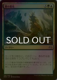 [FOIL] 都の進化/Urban Evolution 【日本語版】 [MM3-金U]