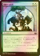 [FOIL] 隔離する成長/Sundering Growth 【日本語版】 [MM3-金C]