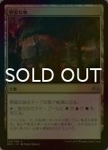 [FOIL] 野蛮な地/Savage Lands 【日本語版】 [MM3-土地U]