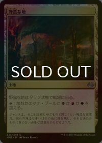 [FOIL] 野蛮な地/Savage Lands 【日本語版】 [MM3-土地U]