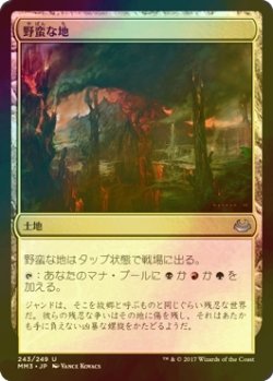 画像1: [FOIL] 野蛮な地/Savage Lands 【日本語版】 [MM3-土地U]