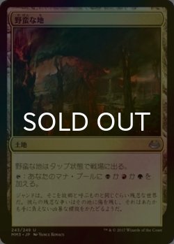 画像1: [FOIL] 野蛮な地/Savage Lands 【日本語版】 [MM3-土地U]