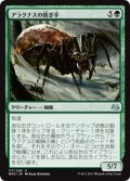 アラクナスの紡ぎ手/Arachnus Spinner 【日本語版】 [MM3-緑U]