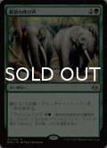 獣群の呼び声/Call of the Herd 【日本語版】 [MM3-緑R]
