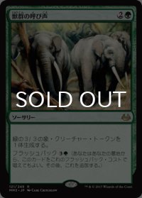 獣群の呼び声/Call of the Herd 【日本語版】 [MM3-緑R]