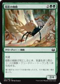 暗影の蜘蛛/Penumbra Spider 【日本語版】 [MM3-緑C]