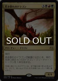 若き群れのドラゴン/Broodmate Dragon 【日本語版】 [MM3-金R]