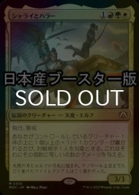 [FOIL] シャライとハラー/Shalai and Hallar ● (日本産ブースター版) 【日本語版】 [MOC-金MR]