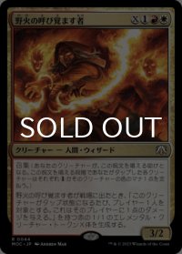 野火の呼び覚ます者/Wildfire Awakener 【日本語版】 [MOC-金R]