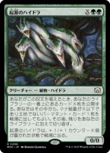 起源のハイドラ/Genesis Hydra 【日本語版】 [MOC-緑R]