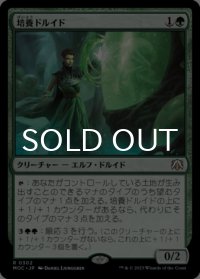 培養ドルイド/Incubation Druid 【日本語版】 [MOC-緑R]