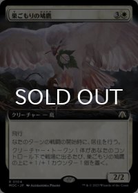 巣ごもりの鳩鷹/Nesting Dovehawk (拡張アート版) 【日本語版】 [MOC-白R]