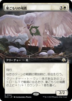 画像1: 巣ごもりの鳩鷹/Nesting Dovehawk (拡張アート版) 【日本語版】 [MOC-白R]