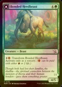[FOIL] 結束した群獣/Bonded Herdbeast 【英語版】 [MOM-緑C]
