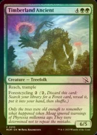 [FOIL] 森林地の古霊/Timberland Ancient 【英語版】 [MOM-緑C]