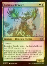 [FOIL] 植物の喧嘩屋/Botanical Brawler 【英語版】 [MOM-金U]