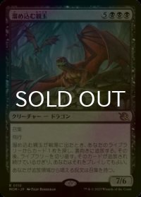 [FOIL] 溜め込む親玉/Hoarding Broodlord 【日本語版】 [MOM-黒R]