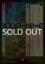 [FOIL] イニストラードへの侵攻/Invasion of Innistrad ● (日本産ブースター版) 【日本語版】 [MOM-黒MR]