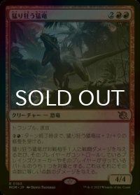 [FOIL] 猛り狂う猛竜/Rampaging Raptor 【日本語版】 [MOM-赤R]