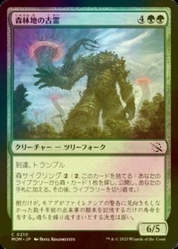 画像1: [FOIL] 森林地の古霊/Timberland Ancient 【日本語版】 [MOM-緑C]