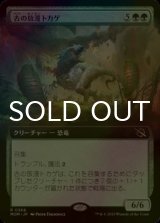 [FOIL] 古の放漫トカゲ/Ancient Imperiosaur (拡張アート版) 【日本語版】 [MOM-緑R]