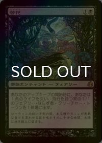 苦花/Bitterblossom (MOR/黒R/日/foil/EX) ※詳細要確認