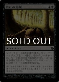 群れの侮蔑/Pack's Disdain 【日本語版】 [MOR-黒C]