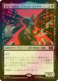 [FOIL] 恐るべき狩人、ブラック・ウィドウ/Black Widow, Deadly Hunter 【日本語版】 [MSC-黒R]
