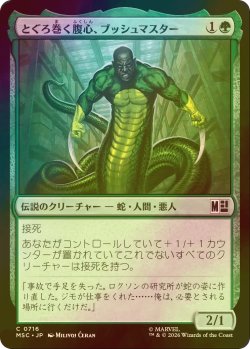 画像1: [FOIL] とぐろ巻く腹心、ブッシュマスター/Bushmaster, Coiled Henchman 【日本語版】 [MSC-緑C]