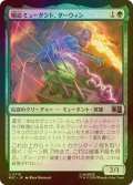 [FOIL] 順応ミュータント、ダーウィン/Darwin, Adaptive Mutant 【日本語版】 [MSC-緑U]