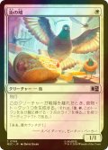 [FOIL] 街の鳩/City Pigeon 【日本語版】 [MSC-白C]