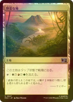 画像1: [FOIL] 野蛮な地/Savage Lands 【日本語版】 [MSC-土地U]