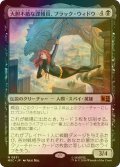 [FOIL] 大胆不敵な諜報員、ブラック・ウィドウ/Black Widow, Daring Operative 【日本語版】 [MSC-黒MR]