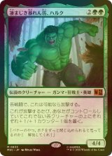 [FOIL] 凄まじき暴れん坊、ハルク/Hulk, Brutal Brawler 【日本語版】 [MSC-緑MR]