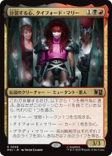 分裂する心、タイフォード・マリー/Typhoid Mary, Fractured 【日本語版】 [MSC-金R]