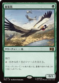 極楽鳥/Birds of Paradise 【日本語版】 [MSC-緑R]
