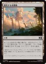 進化する未開地/Evolving Wilds 【日本語版】 [MSC-土地C]