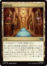 祖先の道/Path of Ancestry 【日本語版】 [MSC-土地C]