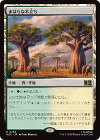 まばらな木立ち/Scattered Groves 【日本語版】 [MSC-土地R]