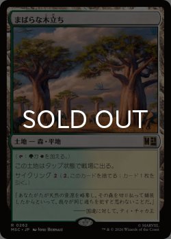画像1: まばらな木立ち/Scattered Groves 【日本語版】 [MSC-土地R]