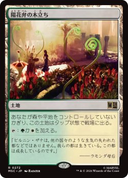 画像1: 陽花弁の木立ち/Sunpetal Grove 【日本語版】 [MSC-土地R]