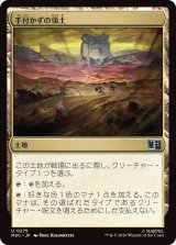 手付かずの領土/Unclaimed Territory 【日本語版】 [MSC-土地U]