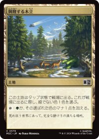 興隆する木立/Thriving Grove 【日本語版】 [MSC-土地C]
