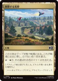 興隆する荒野/Thriving Heath 【日本語版】 [MSC-土地C]
