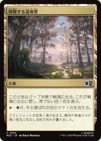 興隆する湿地帯/Thriving Moor 【日本語版】 [MSC-土地C]