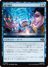 量子縮小/Quantum Reduction 【日本語版】 [MSC-青C]