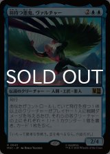 羽持つ悪鬼、ヴァルチャー/Vulture, Feathered Fiend 【日本語版】 [MSC-青R]